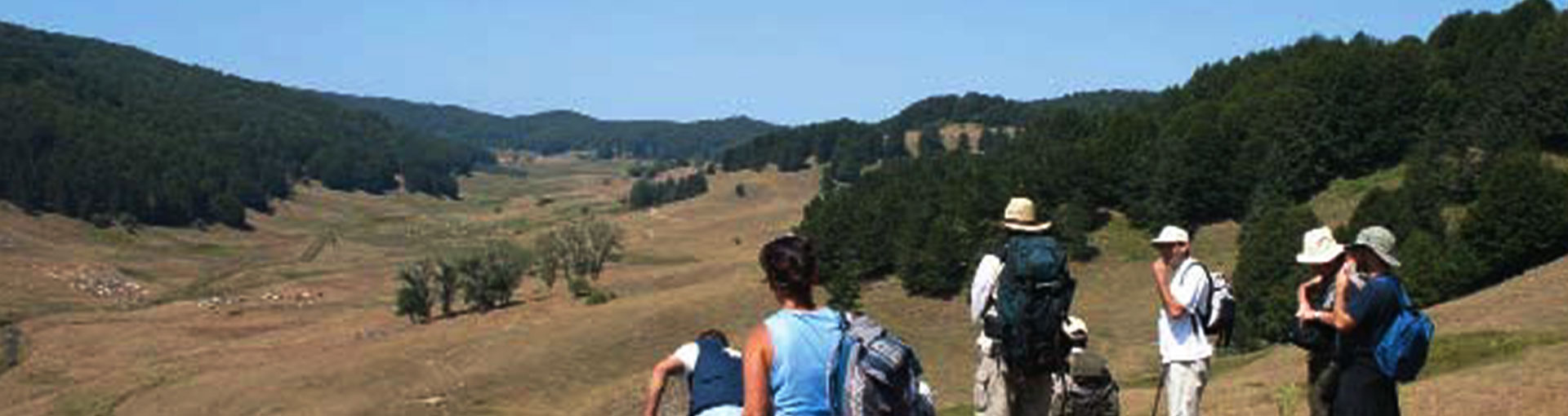 Trekking Altopiano Silano